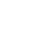 Octavian Dynamics Logo